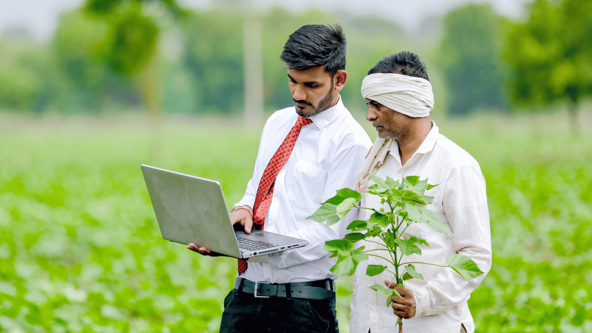 Farming scene
